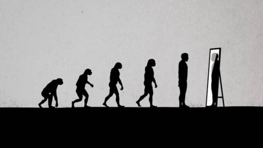 Вера в эволюцию. О чем спорят ученые и Церковь?