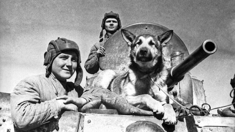 Его несли на сталинской шинели. Легендарный участник Парада Победы