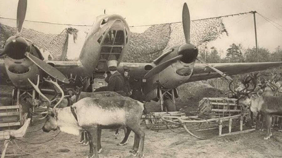 На оленях против Гитлера. Ненецкий автономный округ