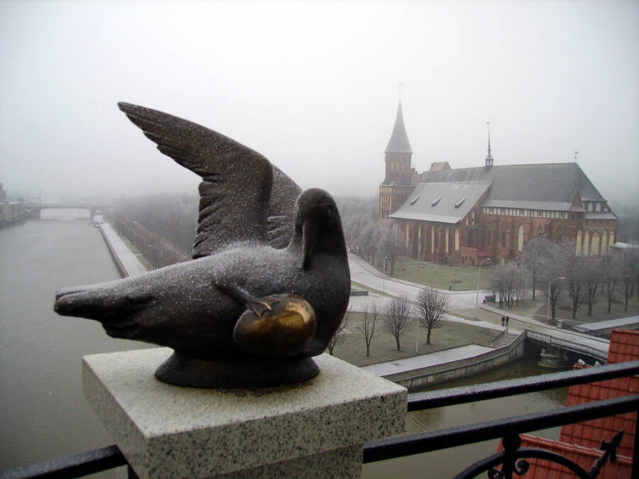 Тевтонцев больше не будет. К годовщине переименования Кёнигсберга