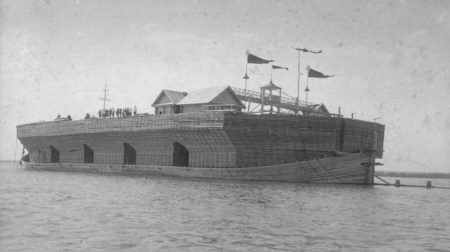 Беляны – речные гиганты