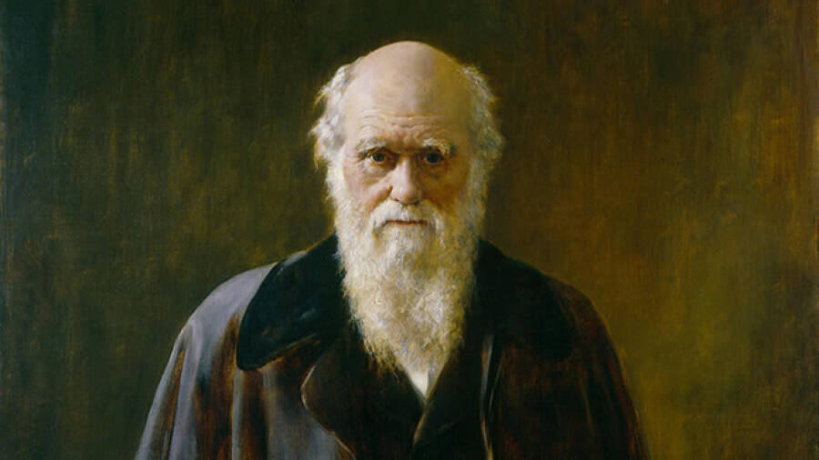 Краткий курс истории. Тот, кто описал эволюцию