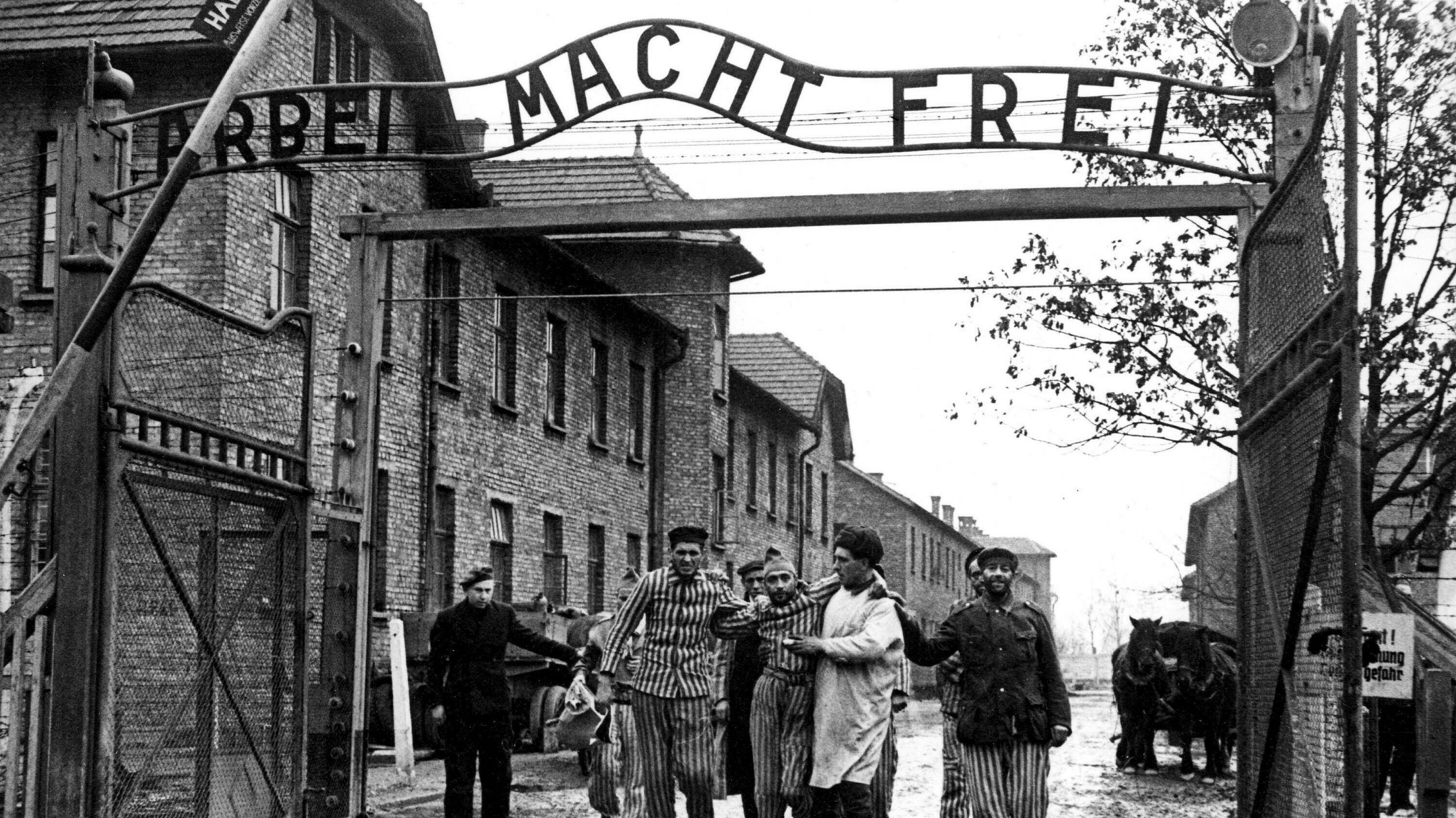 Краткий курс истории. Освобождение лагеря смерти