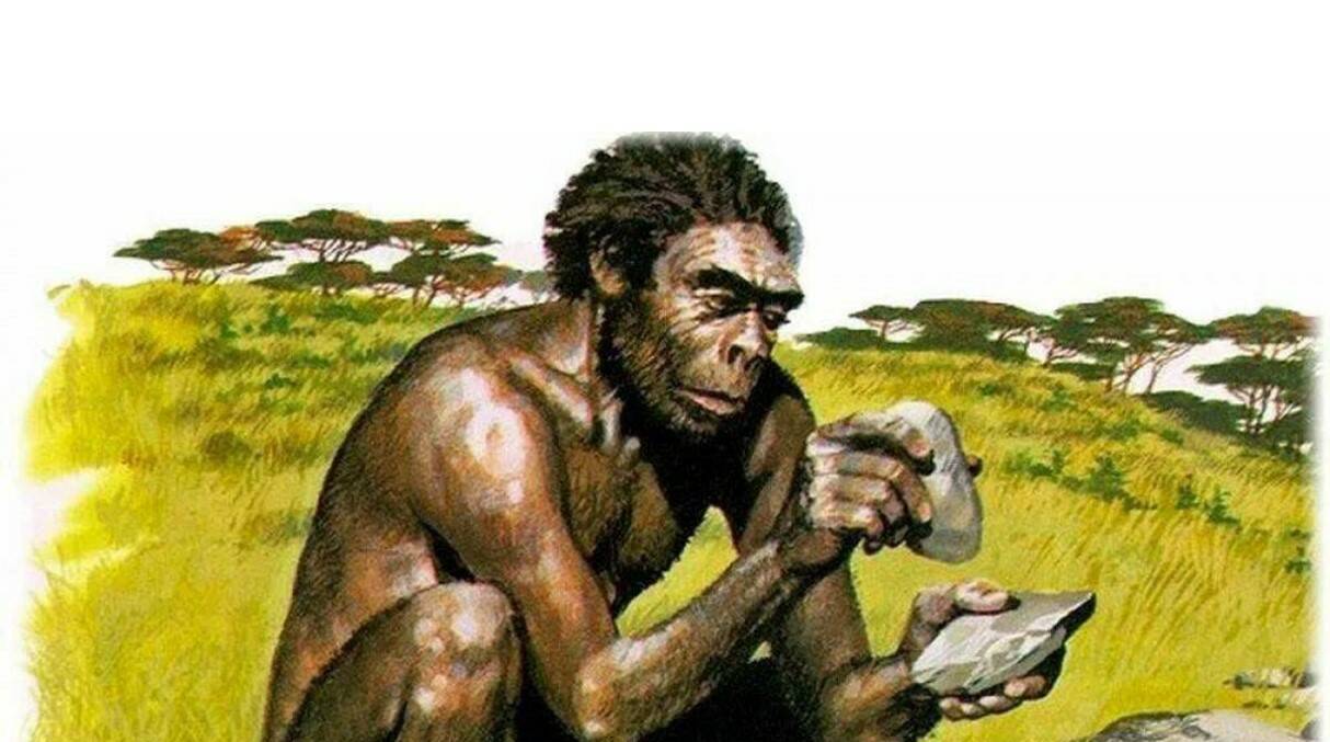 Между питеками и антропами – поиски недостающего звена между обезьянами и людьми