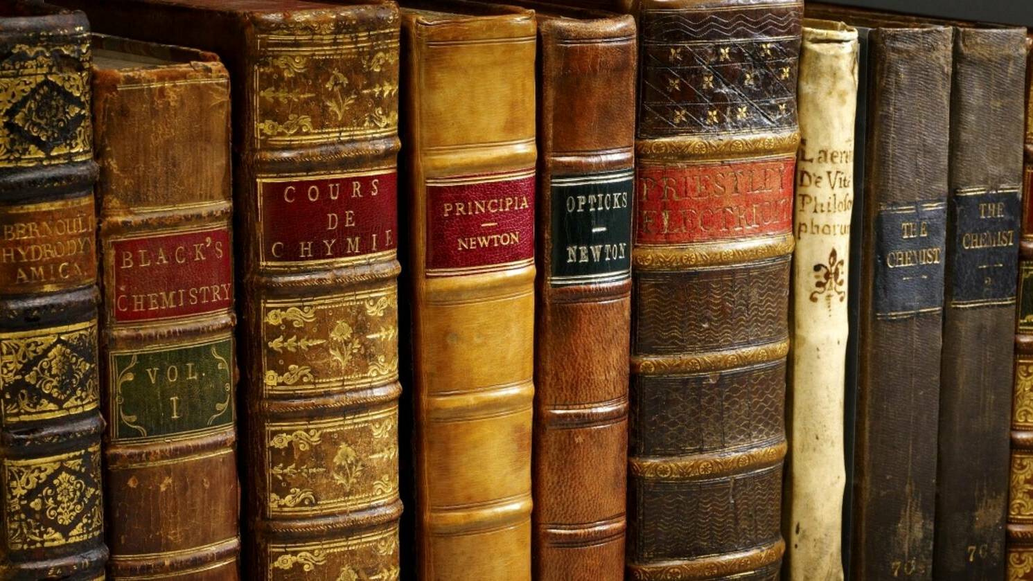 Жизнь без романтического флёра. Мировая литература XIX века