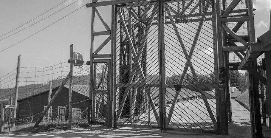 Эксперт РВИО Егор Яковлев: отец Урсулы фон дер Ляйен помиловал нацистского убийцу