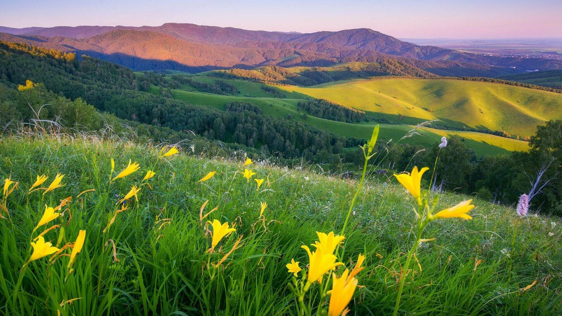 "Неизмеримая мощь и возрождающая сила" - малая родина Василия Шукшина. Алтайский край