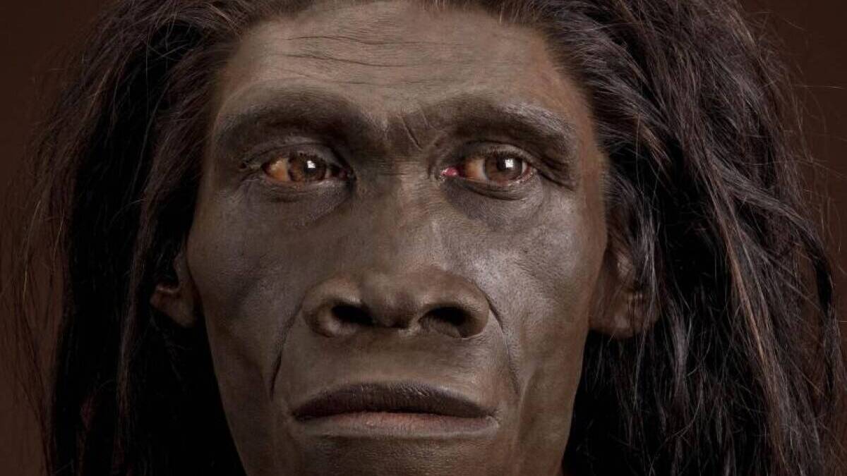 Питекантроп – между миром людей и животных