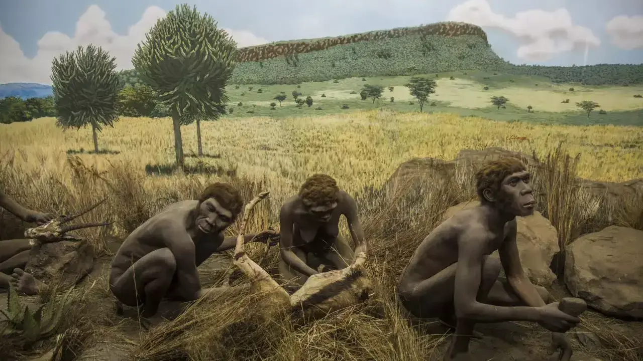 От питеков к антропам: «недостающие звенья» и ступени
нашей эволюции