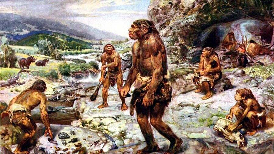 Предки человека: какими они были и откуда мы это знаем