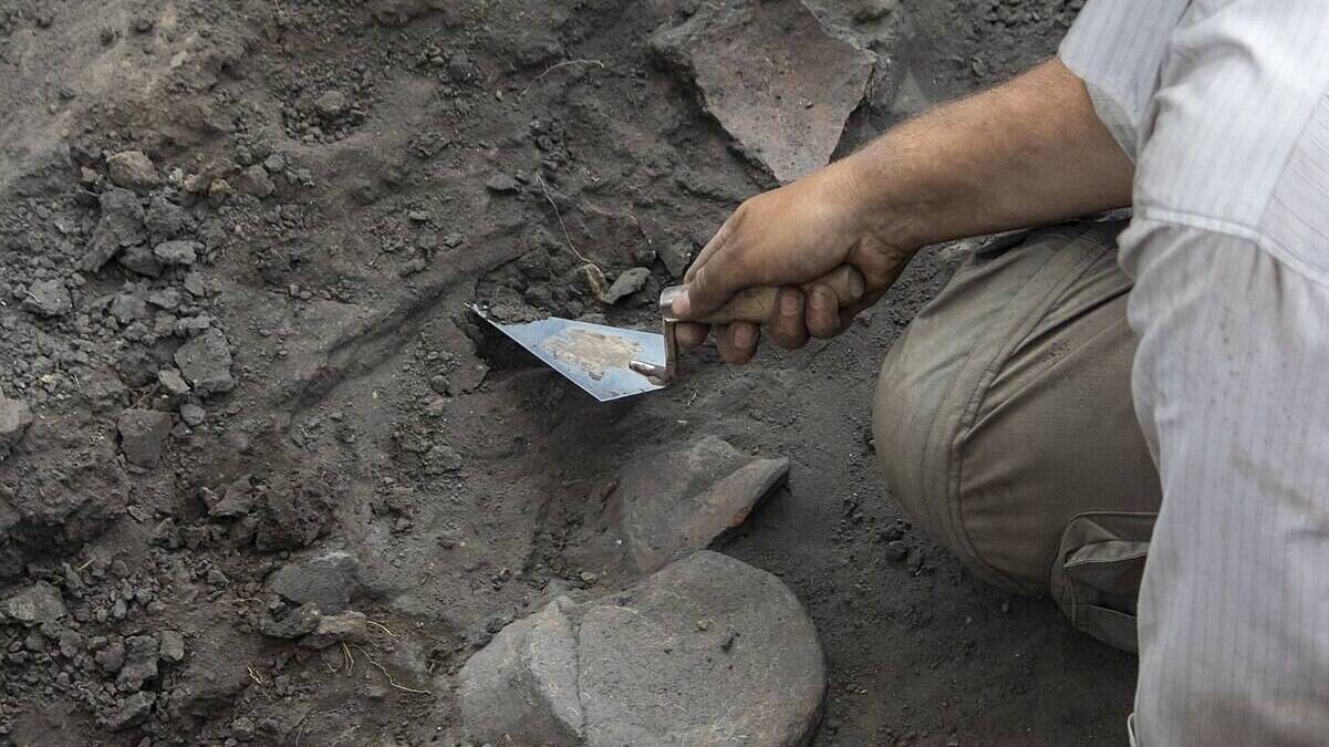 Какие тайны каменного века открывает археология