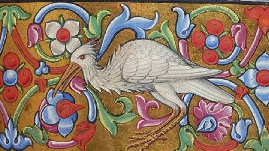 Клянусь цаплей! История о птице, развязавшей столетнюю войну