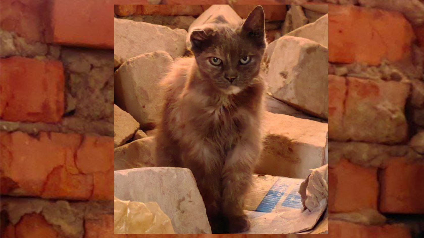 «Чтобы знали. Продолжение». Сборник рассказов 