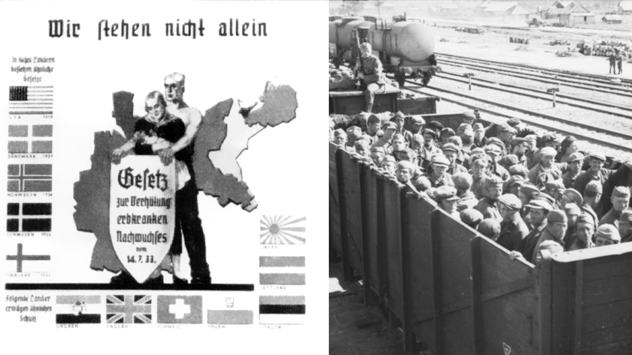 Нацистские планы массовой стерилизации «восточных народов»