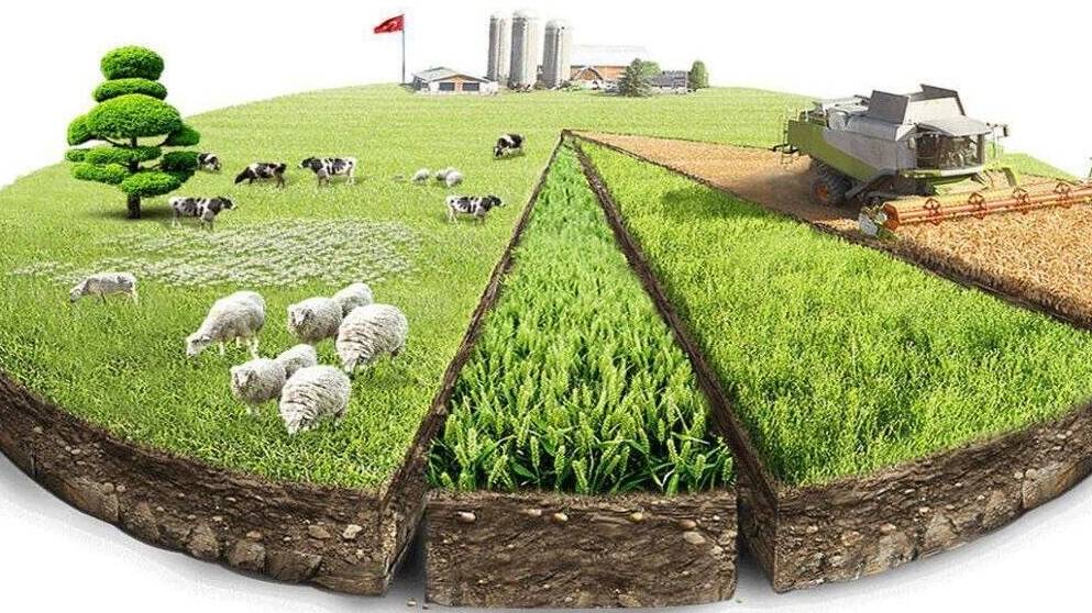 Потребности и блага