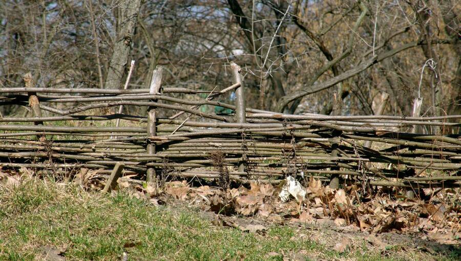 Сокола - относительно прочные вертикальные элементы плетёного забора, сделанный из брёвен и вбиваемые в землю