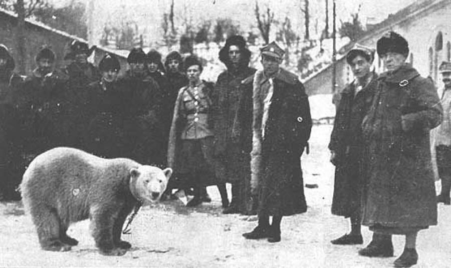  Баська и сослуживцы. 