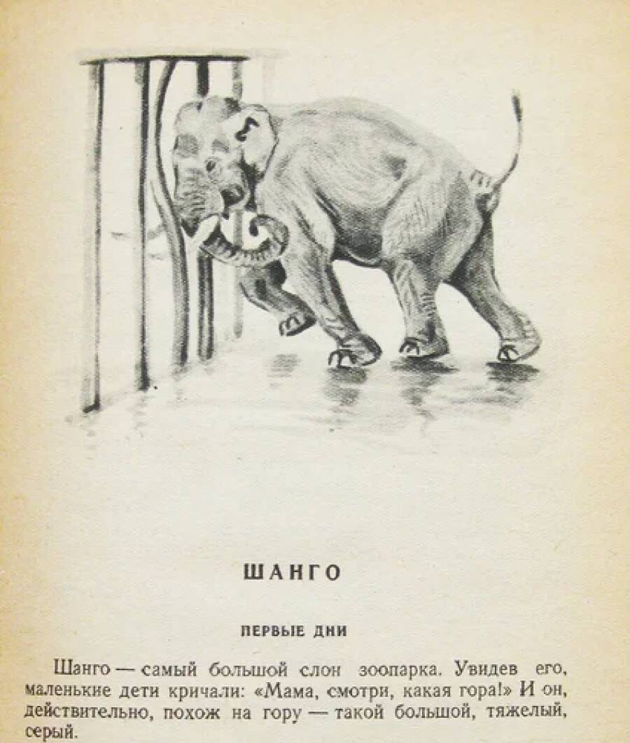 Шанго. Иллюстрация Георгия Никольского. 
