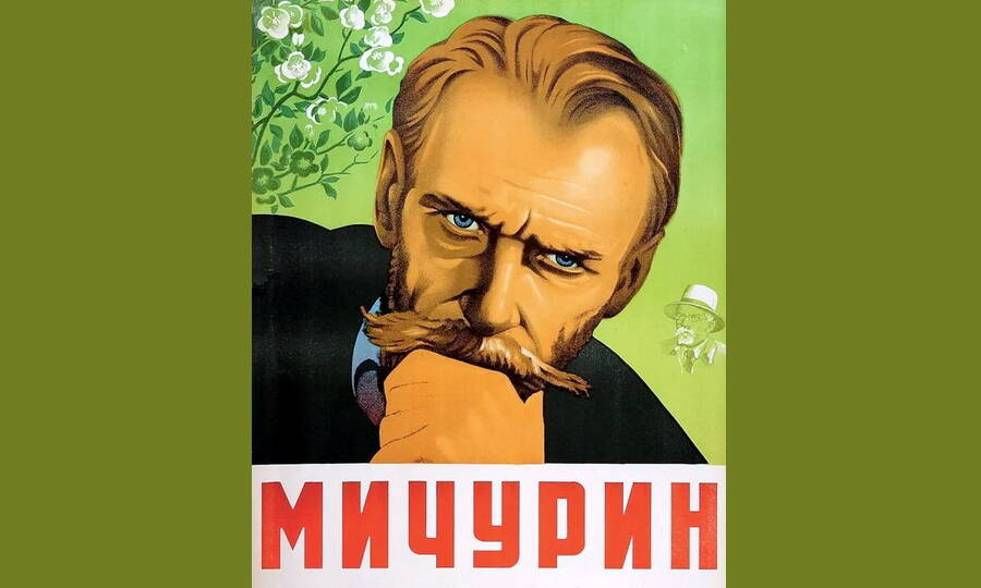 Афиша художественного фильма «Мичурин». Режиссёр А.П. Довженко, 1948 год. В роли учёного Г.А. Белов.