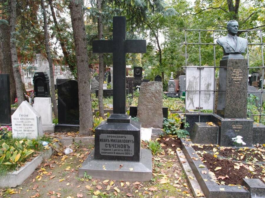 Могила Сеченова на Новодевичьем кладбище Москвы.