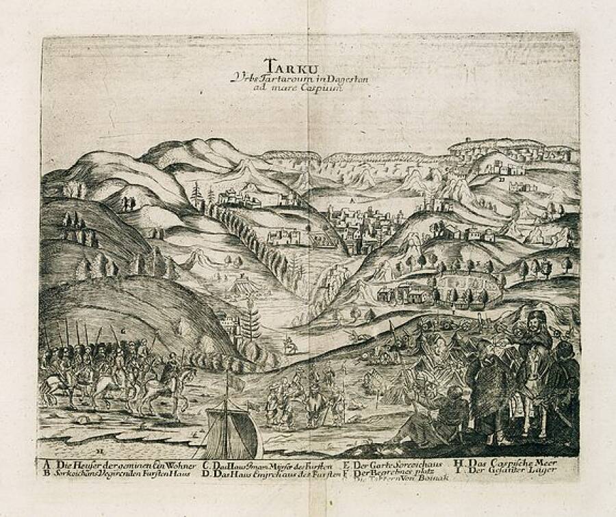 Тарки. Гравюра XVII века.