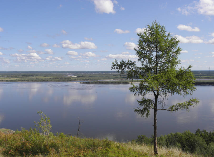Река Лена в районе Табагинского мыса (фото: Trevbus CC0)
