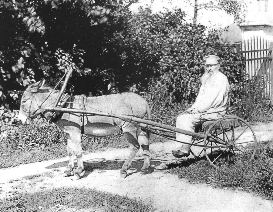 А.А. Фет и ослик Некрасов, Воробьевка, 1890 год (CC BY-SA 4.0)