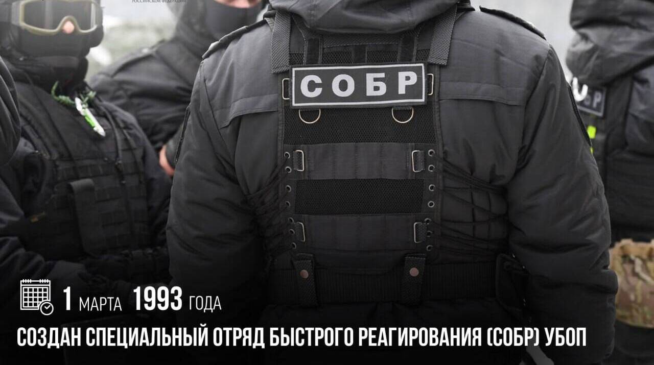 создан специальный отряд быстрого реагирования (СОБР) УБОП
