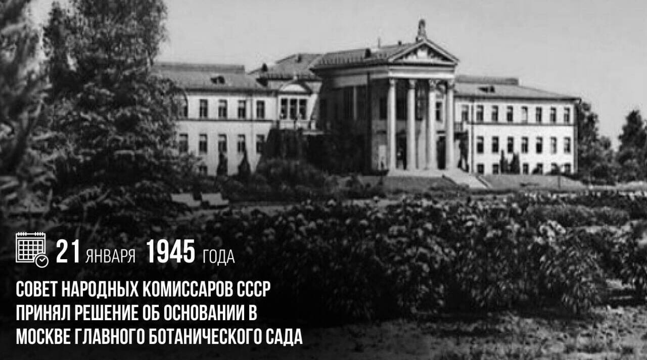Совет народных комиссаров СССР принял решение об основании в Москве главного Ботанического сада