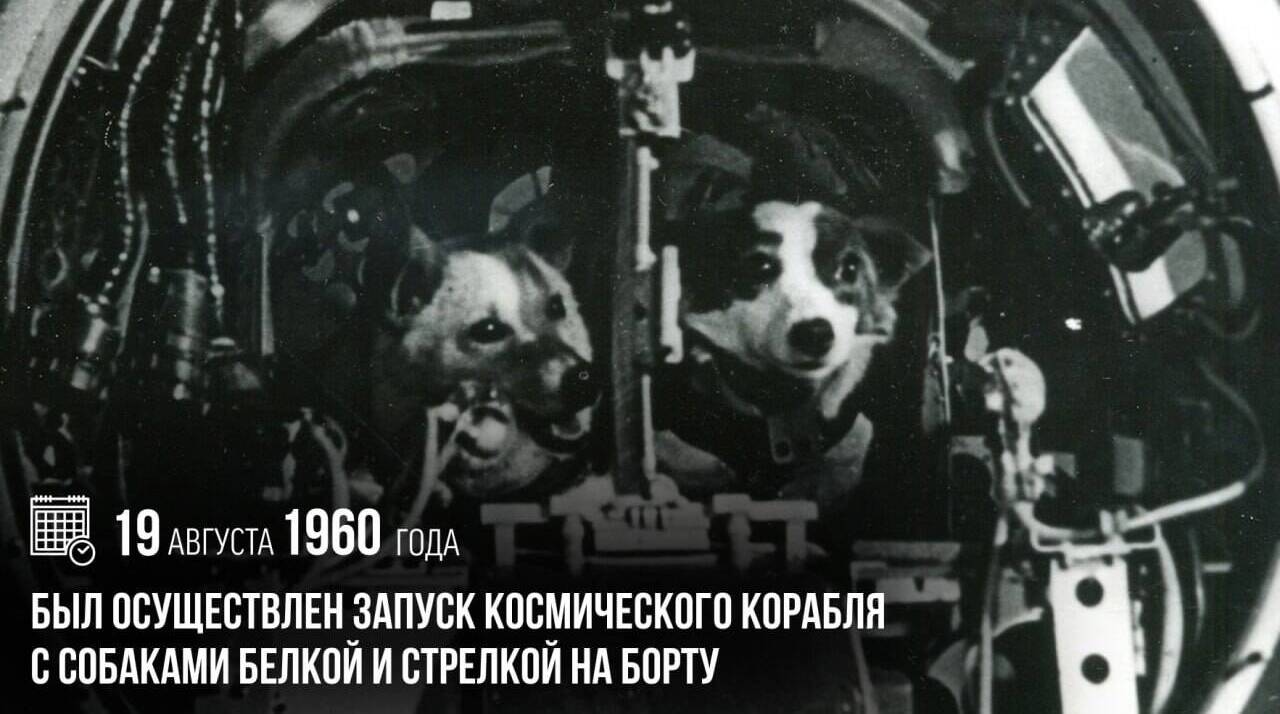 Был осуществлен запуск космического корабля с собаками Белкой и Стрелкой на борту