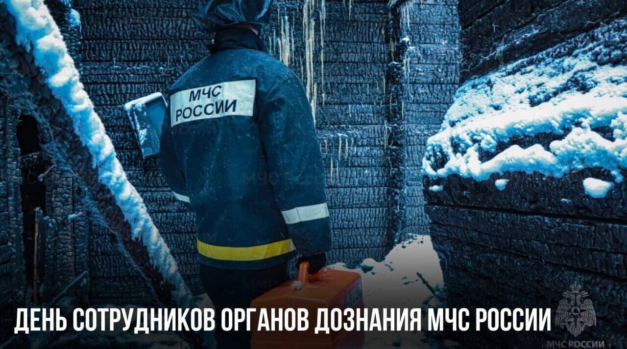 День сотрудников органов дознания МЧС России