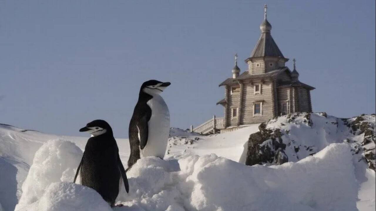Советской Антарктической экспедицией основана станция «Беллинсгаузен»