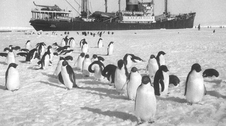 Дизель-электроход «Обь» доставил в Антарктиду 1-ю советскую антарктическую экспедицию