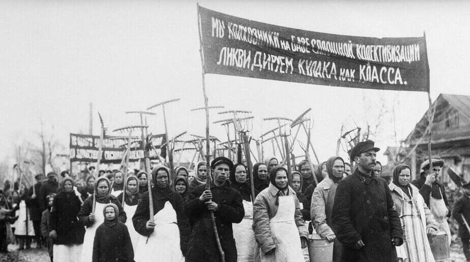 В СССР началась массовая коллективизация