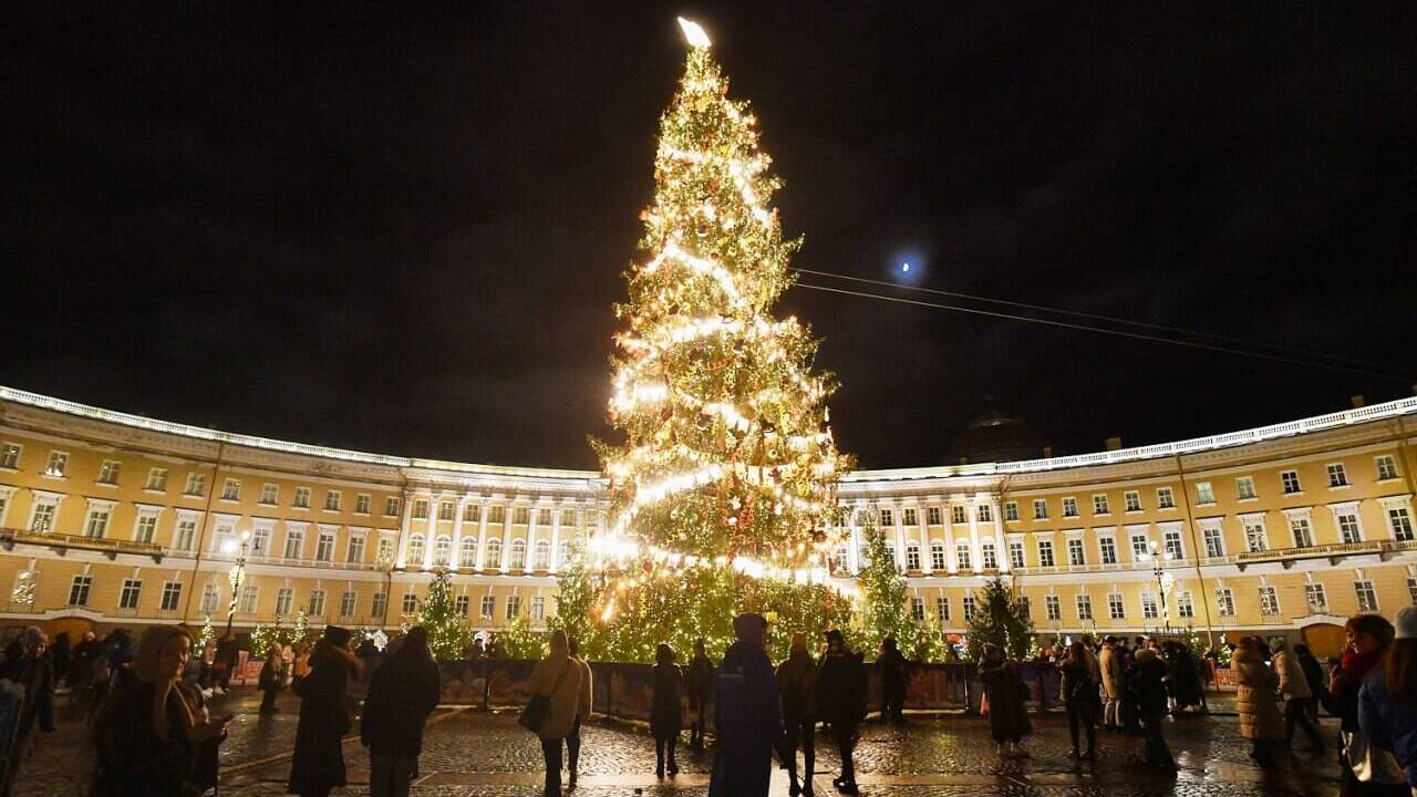 Организована первая публичная елка