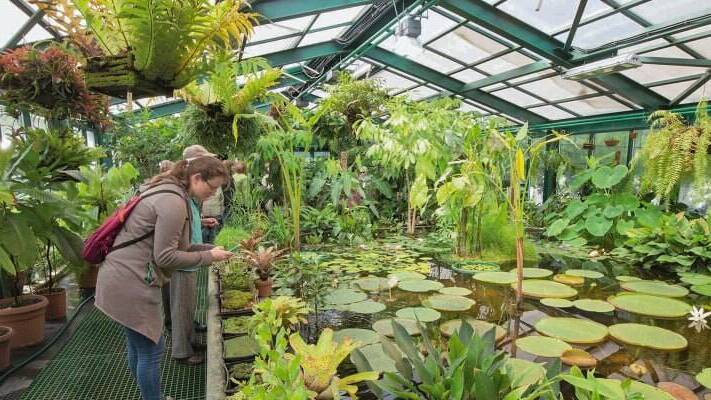 В Москве Петром I основан Аптекарский огород