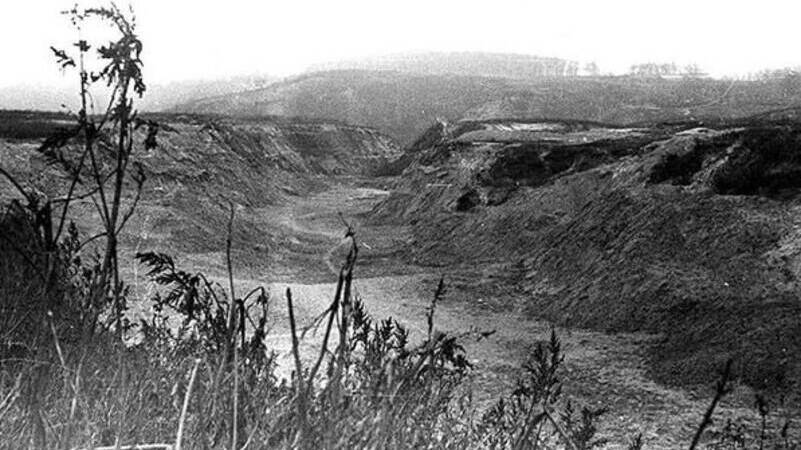 Первыми жертвами массового уничтожения советских граждан немцами и украинскими полицаями в урочище Бабий Яр в Киеве стали 752 пациента психбольницы