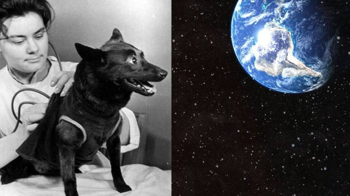 В космос слетали и вернулись собака Чернушка и манекен «Иван Иванович»
