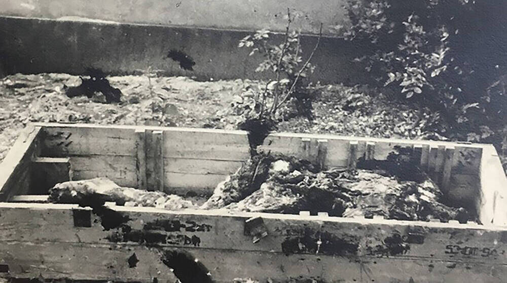 Последнее фото Гитлера