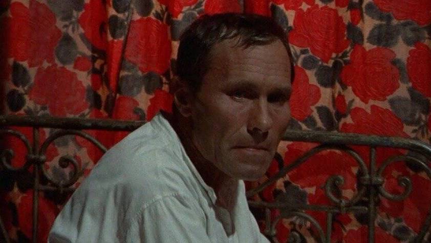 На экраны страны вышла «Калина красная»