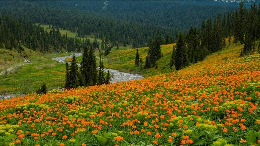 Александр I утвердил решение «Об отсылке крепостных за дурные поступки в Сибирь»