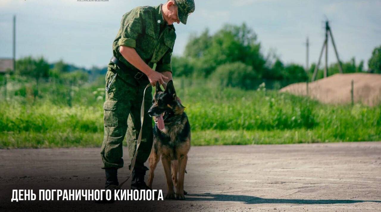 День Пограничного кинолога