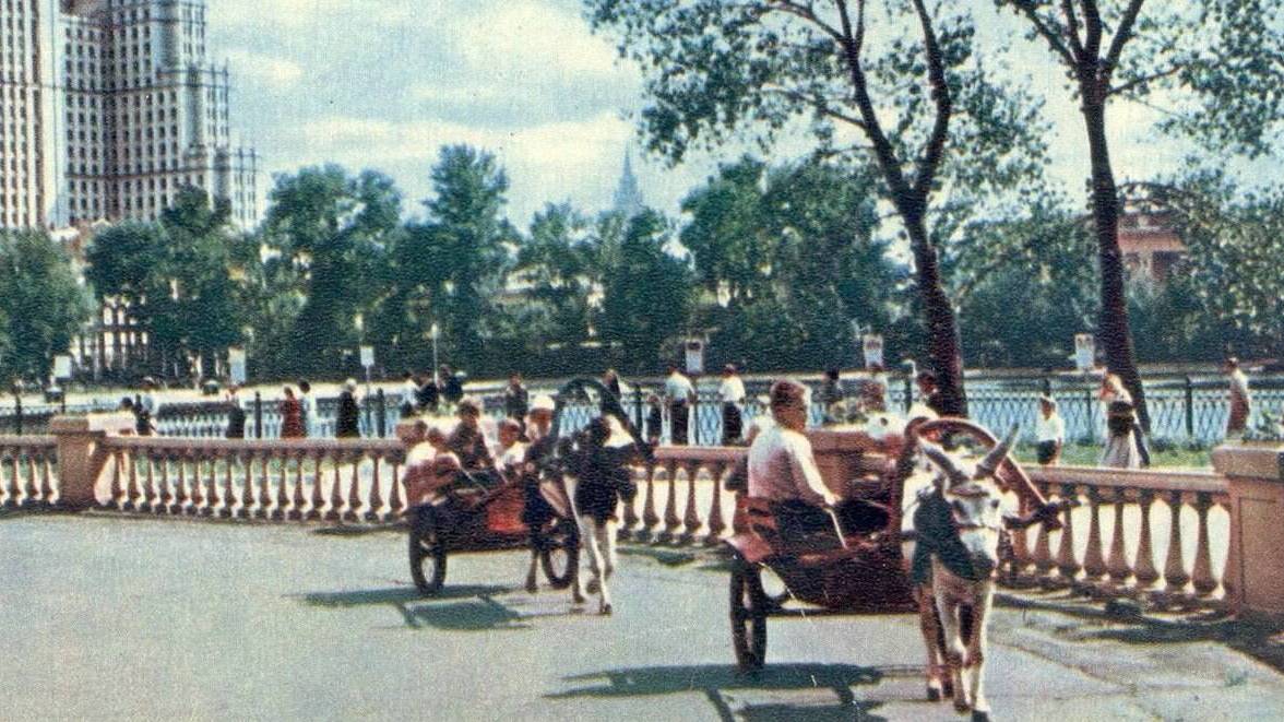 В Москве открылся первый в России зоологический сад