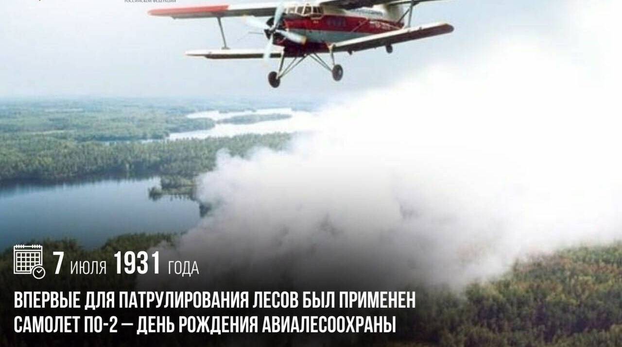 Впервые для патрулирования лесов был применен самолет По-2