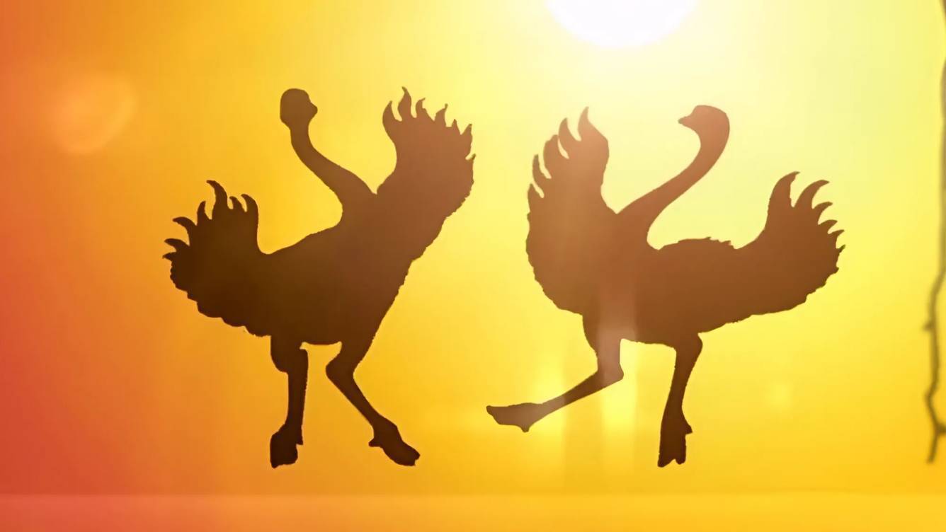 В эфир вышла телепередача «В мире животных»