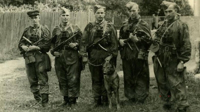 Началась чекистско-войсковая операция по очистке Львовской обл. от бандеровцев