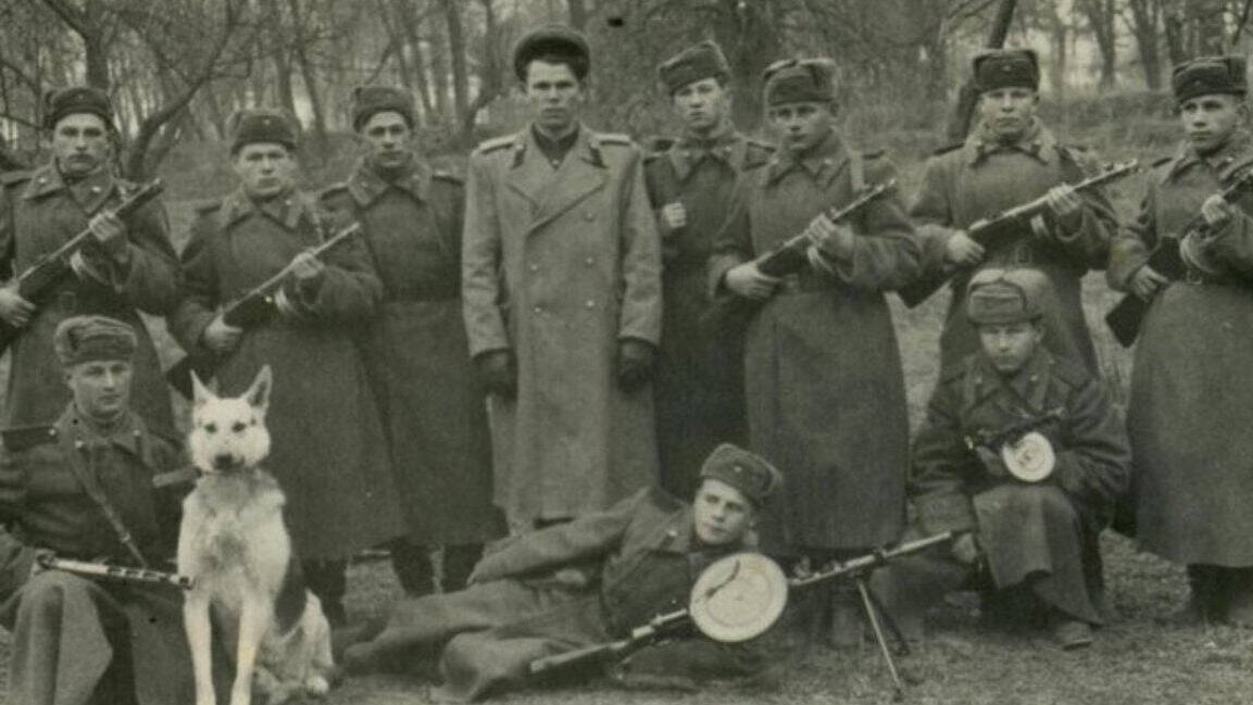 В Львовской области уничтожена крупная банда бандеровцев