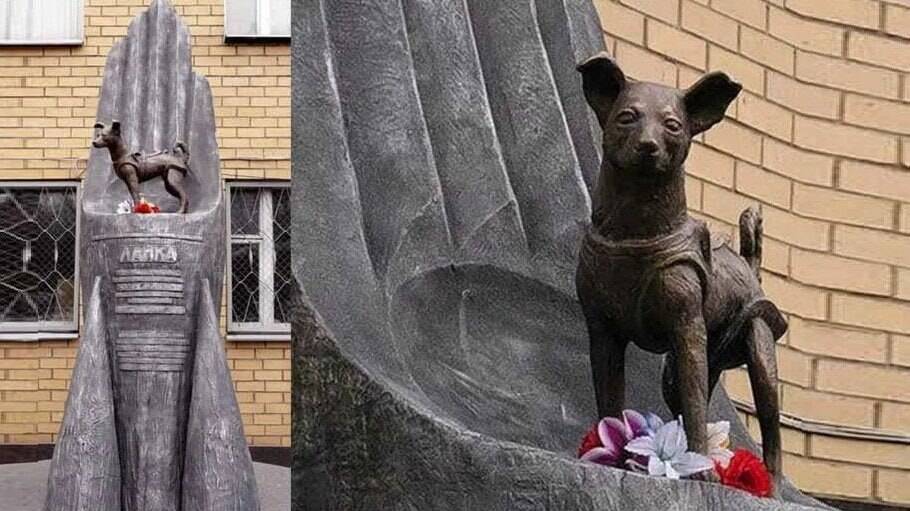 Впервые на орбите живое существо – собака Лайка