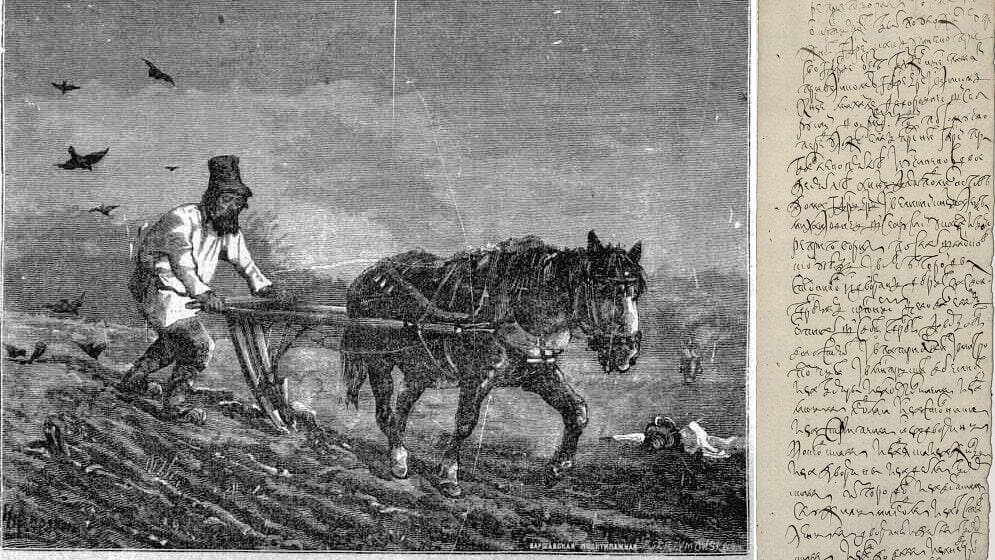 Указ 16-летнего Алексея Михайловича о переписи населения