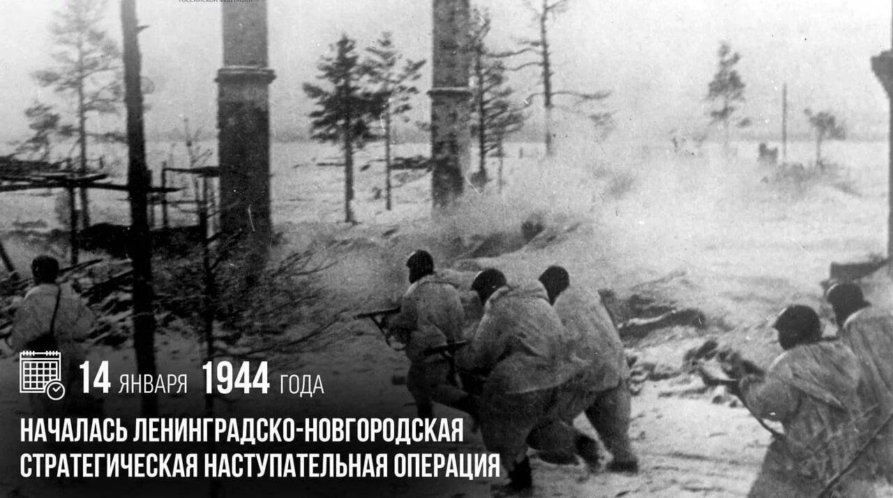 Началась Ленинградско-Новгородская стратегическая наступательная операция